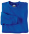 Royal Blue Sweat Shirt