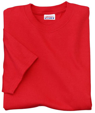 Add Screen printing cost to this Hanes Beefy T-shirt